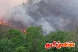 ஹந்தான வனப்பகுதியில் தீ விபத்து