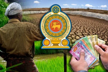 வறட்சியால் பாதிக்கப்பட்ட விவசாயிகளுக்கு நட்டஈடு : அமைச்சர் அறிவிப்பு