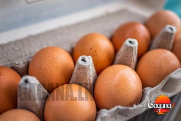 බිත්තර හිඟයක්? - හේතුව මෙන්න