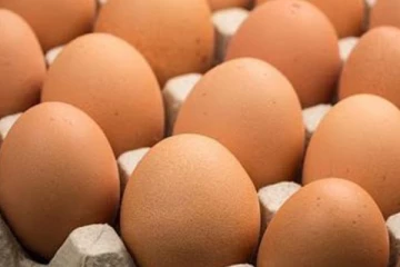 විශේෂ මිලකට බිත්තර - ලබාගත හැකි ස්ථාන දැනගැනීමට මෙතනින් පිවිසෙන්න..