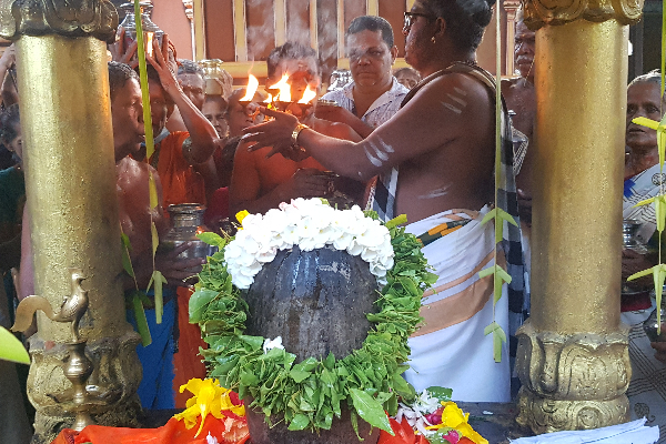 நாடளாவிய ரீதியில் இடம்பெற்ற சிவராத்திரி சிறப்பு வழிபாட்டு நிகழ்வுகள் | Island Wide Shivratri Special Worship Events