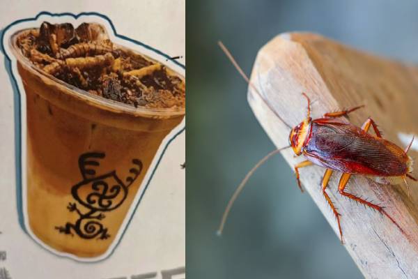 புழுக்கள், கரப்பான் பூச்சியில் தயாரிக்கப்பட்ட காபி - ஆர்வத்துடன் வாங்கி குடிக்கும் இளைஞர்கள் | China Musuem Launch Worms Cockroach Coffee புழுக்கள், கரப்பான் பூச்சியில் தயாரிக்கப்பட்ட காபி - ஆர்வத்துடன் வாங்கி குடிக்கும் இளைஞர்கள் | China Musuem Launch Worms Cockroach Coffee