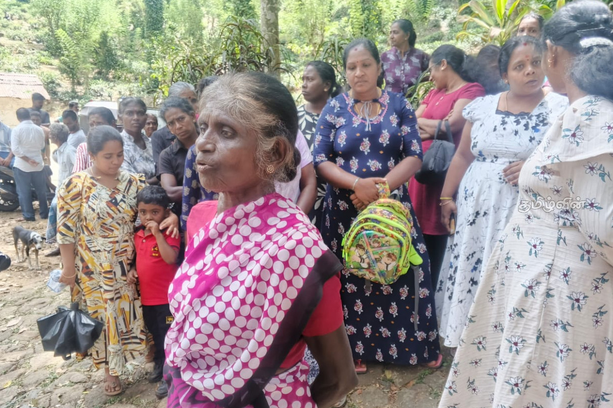 பதுளையில் தாக்கப்பட்ட தோட்டத் தொழிலாளியின் மகன்.. முகாமையாளருக்கு எதிராக முன்னெடுக்கப்பட்ட போராட்டம் | Badulla Strike Removal Of Manager Unugalle Estate