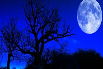 ஒருநாளுக்கு 25 மணி நேரம் ஆகுமா? பூமியிலிருந்து சந்திரன் விலகிச் செல்வதால் ஏற்படும் மாற்றம்