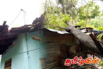 யாழில் நிலவும் சீரற்ற காலநிலை காரணமாக பலர் பாதிப்பு!