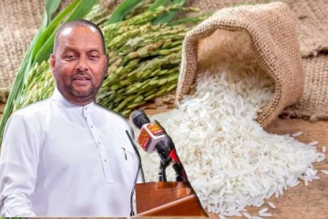 அரிசி இறக்குமதி குறித்து வெளியான தகவல்