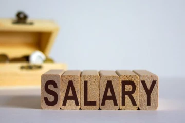 அரசாங்க ஊழியர்களுக்கு சம்பளம் வழங்க முடியாத நெருக்கடி நிலையில் அரசாங்கம்