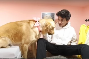 செல்லப்பிராணிக்கு 16.5 லட்சத்தில் சொகுசு வீடு: பிறந்த நாள் பரிசு வழங்கிய அமெரிக்க யூடியூப் பிரபலம்