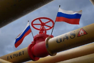 உக்ரைன் எடுத்த முடிவு... தொடர்ந்து இரண்டாவது நாளாக ஸ்தம்பித்த ஐரோப்பிய பிராந்தியம்