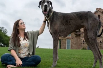 கின்னஸ் சாதனை படைத்த நாய் பரிதாபமாக உயிரிழப்பு! சோக சம்பவம்