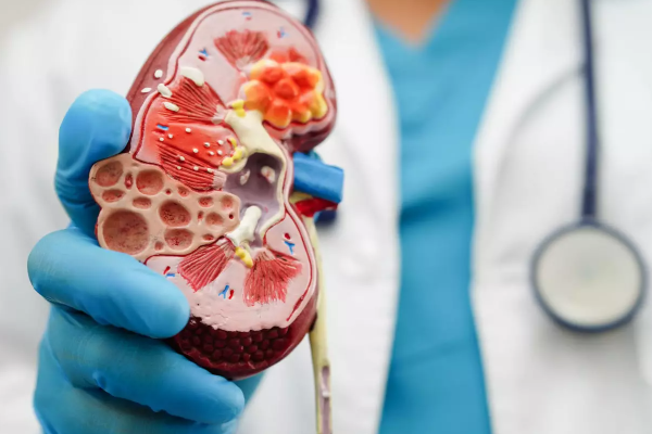 நாட்டில் வயதிற்கு வந்த 10 பேரில் ஒருவருக்கு இந்த நோய் | Kidney Disease Patients Increased In The Country