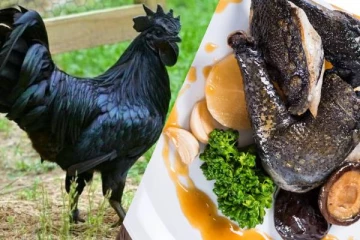 கருப்புகோழி பற்றி  அறிந்திருக்கின்றீர்களா? அசைவ பிரியர்களே இது உங்களுக்காக!