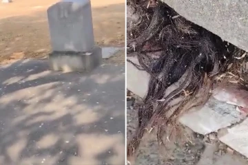 100 ஆண்டுகள் பழமையான கல்லறைக்குள்ளிருந்து எட்டிப்பார்த்த தலைமுடி: திகிலை ஏற்படுத்திய வீடியோ