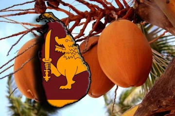 இலங்கைக்கு பெருந்தொகை வருமானத்தை ஈட்டித் தந்துள்ள செவ்விளநீர்