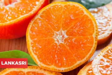 அரை மணி நேரத்தில் 30 கிலோ ஆரஞ்சு பழத்தை மொத்தமாக தின்று தீர்த்த நால்வர்: சுவாரசிய காரணம்