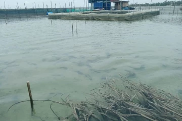 கடல் உணவுக்கு திண்டாட வேண்டிய நிலை ஏற்படும்! விடுக்கப்பட்டுள்ள எச்சரிக்கை