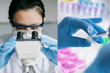 ஐரோப்பிய நாடொன்றில் தீவிரமாக பரவும் இரண்டு கொடிய நோய்கள்: பிரித்தானியாவுக்கு அச்சுறுத்தல்