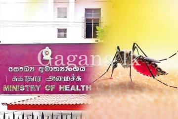 ඩෙංගු මරණ වැඩි වන හේතුව හෙළි වෙයි.- ඩෙංගු යැයි සැක නම් මෙන්න මේ ඖෂධය පමණක් ගන්න.