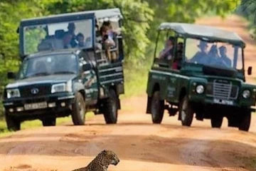 நாட்டுக்கு வந்த ஈரானிய பிரஜைகளின் மோசமான செயல்