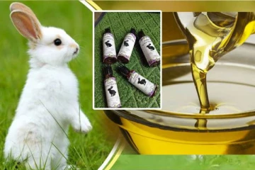 முயல் ரத்த எண்ணெய்: முடி உதிர்விற்கு நிரந்தர தீர்வு