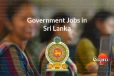 මේ ජන කොට්ඨාසයට දුන්නු රජයේ රැකියා ප්රමාණය ඉහළ දමයි - රජයෙන් පොරොන්දුවක්