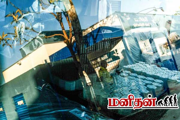 டெங்கு கொசுவை ஒழித்துக் கட்டும் புதிய தொழிற்சாலை.. இங்கு என்ன உள்ளது தெரியுமா? | Dengue Brazil Start Biofactory For Mosquitoes
