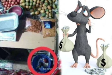 தினமும் கல்லாப்பெட்டியில் காசை ஆட்டையப்போடும் திருட்டு எலி - வைரலாகும் வீடியோ!