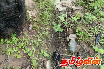 அம்பாறையில் வெற்றுக் காணியில் இருந்து கைக்குண்டு மீட்பு