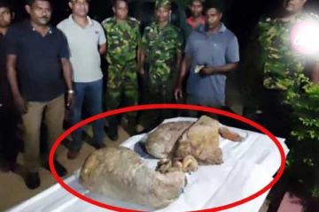 சுமார் 23 கோடி ரூபா பெறுமதி திமிங்கல வாந்தி; மீனவர்கள் கைது!