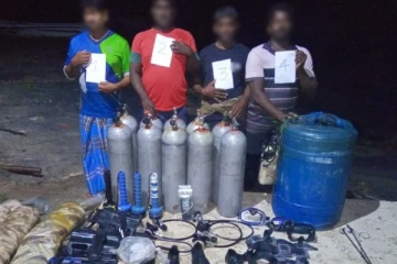 சிலாவத்துறை கடற்பரப்பில் சட்டவிரோத கடலட்டை பிடித்த 7 பேர் கைது