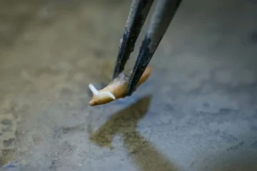 விண்வெளியில் முளைத்த அரிசி! வியக்க வைத்த விஞ்ஞானிகள்