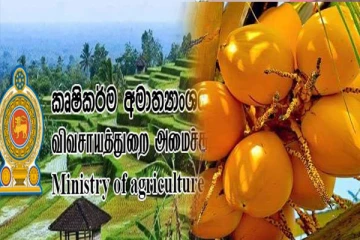 இலங்கையின் இளநீருக்கு வெளிநாடுகளுகளில் நிலவும் கேள்வி