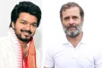நடிகர் விஜயின் கட்சி மாநாட்டில் ராகுல் காந்தி கலந்து கொள்கிறாரா? வெளியான தகவல்
