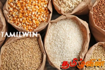 விவசாய அமைச்சின் விசேட வேலைத்திட்டம்!