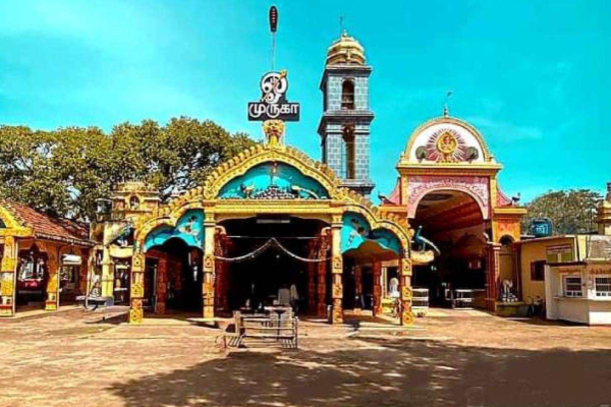 செல்வச்சந்நிதி ஆலய சூழலில் விதிமீறல்: ஐவருக்கு ரூ.50,000 அபராதம் | 50 000 Chewing Betel Near Selvachannithi Temple செல்வச்சந்நிதி ஆலய சூழலில் விதிமீறல்: ஐவருக்கு ரூ.50,000 அபராதம் | 50 000 Chewing Betel Near Selvachannithi Temple
