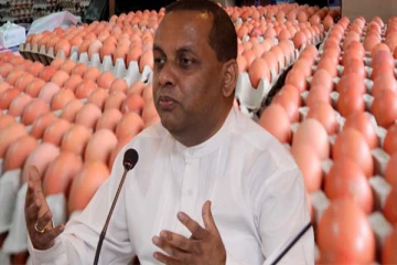 இலங்கையிலிருந்து மாலைதீவுக்கு ஏற்றுமதி செய்யப்படும் முட்டைகள்