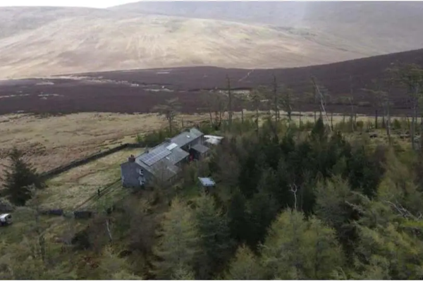 உலகின் மிகவும் தனிமையான வீடு - விலை எவ்வளவுன்னு தெரியுமா? ஆச்சரியப்படுவீங்க... | World Viral News