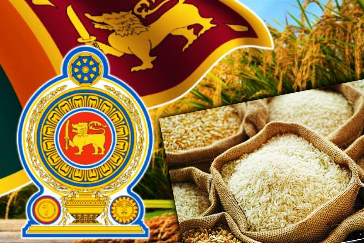 நெல்லுக்கான உத்தரவாத விலை வீழ்ச்சி | Guaranteed Price For Paddy Falls நெல்லுக்கான உத்தரவாத விலை வீழ்ச்சி | Guaranteed Price For Paddy Falls