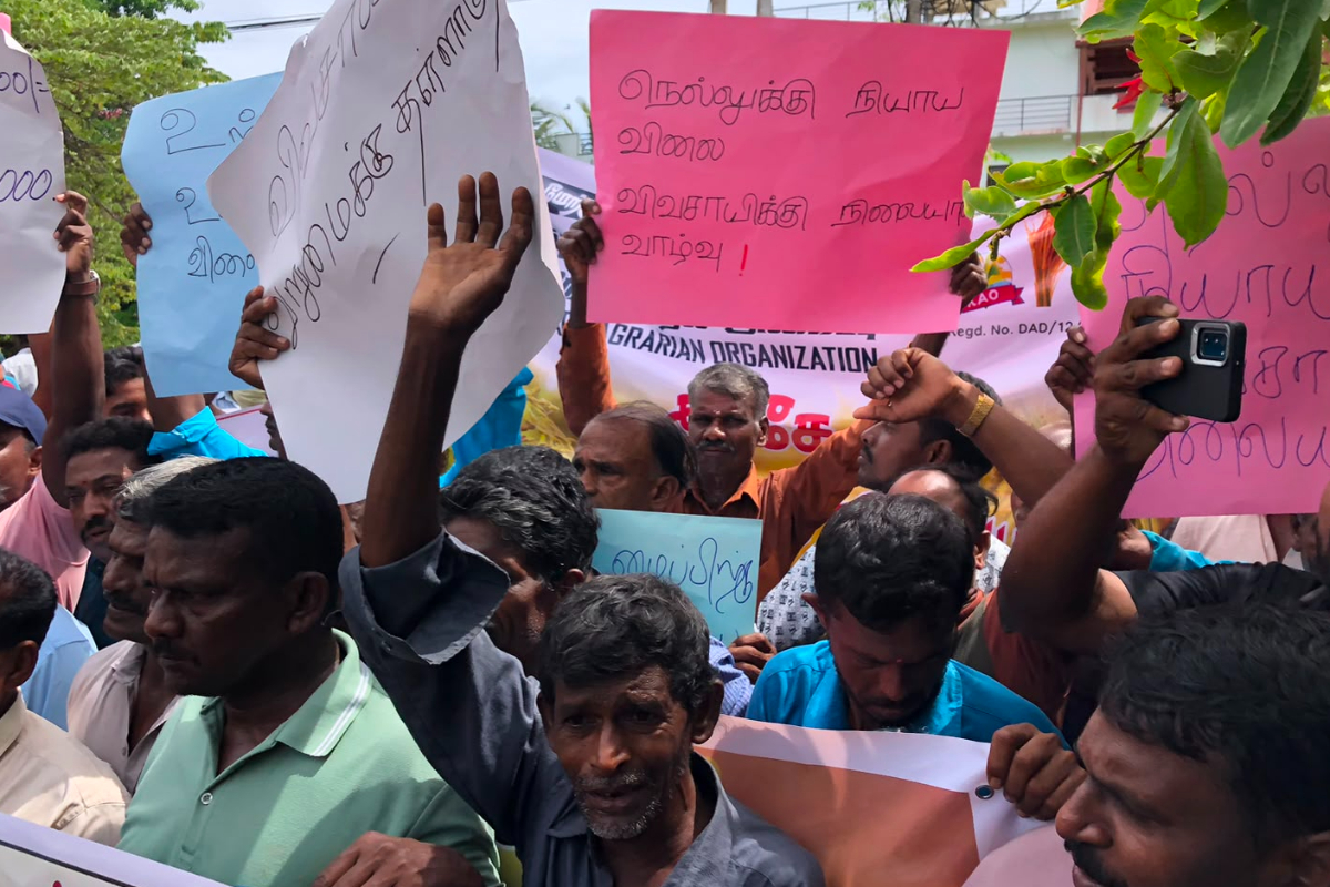 மட்டக்களப்பில் நெல் விலையை அதிகரிக்க கோரி விவசாயிகள் பாரிய ஆர்ப்பாட்டம் | Protest Demanding Increase In Rice Prices In Batti மட்டக்களப்பில் நெல் விலையை அதிகரிக்க கோரி விவசாயிகள் பாரிய ஆர்ப்பாட்டம் | Protest Demanding Increase In Rice Prices In Batti