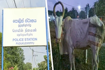 முல்லைத்தீவில் சூட்சுமமான முறையில் கடத்தலில் ஈடுப்பட்ட நால்வர் கைது