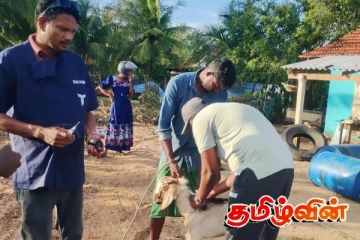 400 இற்கும் மேற்பட்ட கால்நடைகளுக்கு சிகிச்சையளித்த வைத்தியர் குழாம்