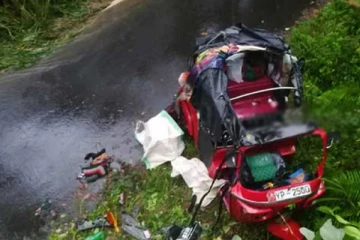 முச்சக்கரவண்டி ஒன்று 30 அடி பள்ளத்தில் வீழ்ந்ததில் பெண் ஒருவருக்கு நேர்ந்த சோகம்