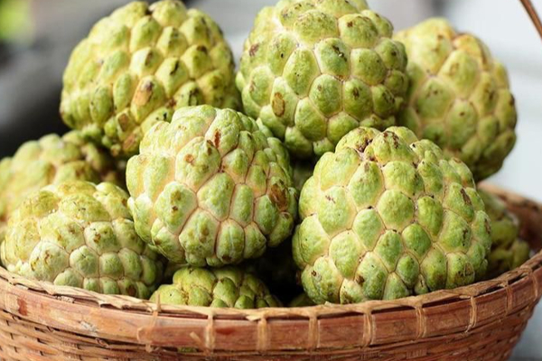 சீத்தாப்பழத்தினை தினமும் சாப்பிடலாமா? சாப்பிட்டால் இவ்வளவு நன்மைகளா? | Sugar Apple Benefits