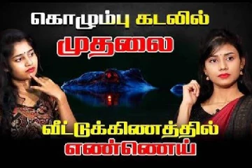 பிக்பாஸ் 6 புகழ் ஜனனியின் சூப்பரான அடுத்த வீடியோ- இதோ பாருங்க
