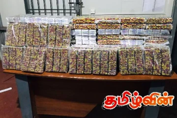 விசேட அதிரடிப் படையினரால் 2 இலட்சம் போதை மாத்திரைகள் மீட்பு!