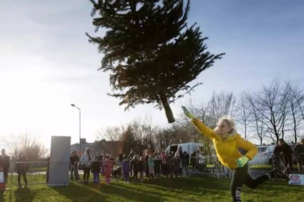 Woman loses 7 cr injury insurance claim after throwing Christmas tree