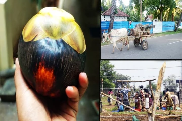 விடுதலைப்புலிகளின் காலத்திற்கு திரும்புகிறதா வடக்கு மக்களின் வாழ்க்கை