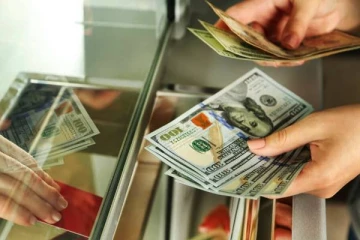 புலம்பெயர் இலங்கையர்களால் நாட்டுக்கு கிடைத்துள்ள பெருந்தொகை டொலர்