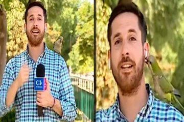 கையும் கழவுமாக திருடி மாட்டிய கிளி: தொகுப்பாளரின் பரிதாப நிலை!