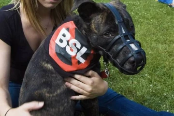 ஒன்ராறியோ மக்களிடம் கொந்தளிப்பை ஏற்படுத்திய pit bull விவகாரம்